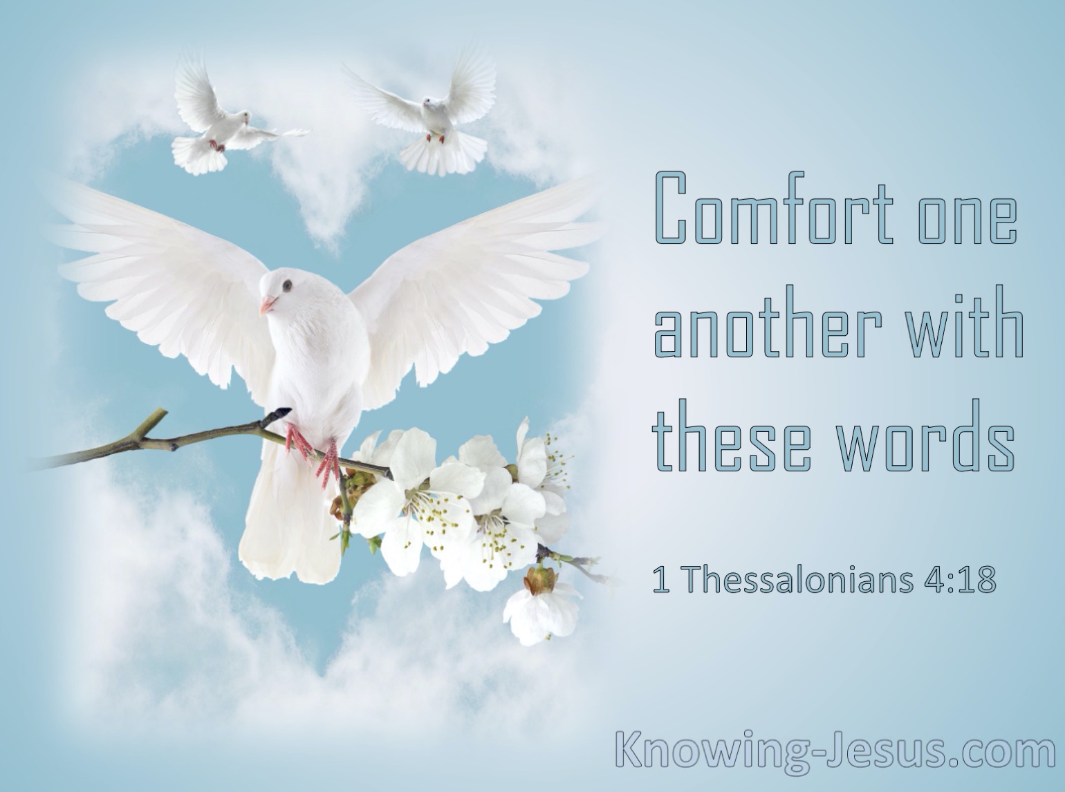 What Does 1 Thessalonians 4 18 Mean 